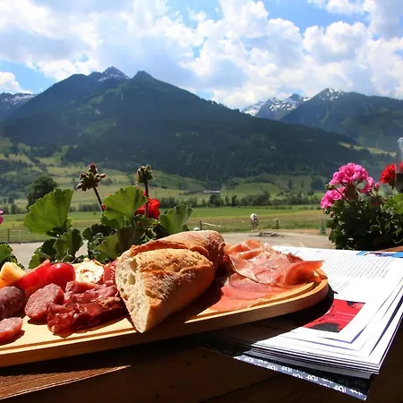 Tauernhuette Chalet *